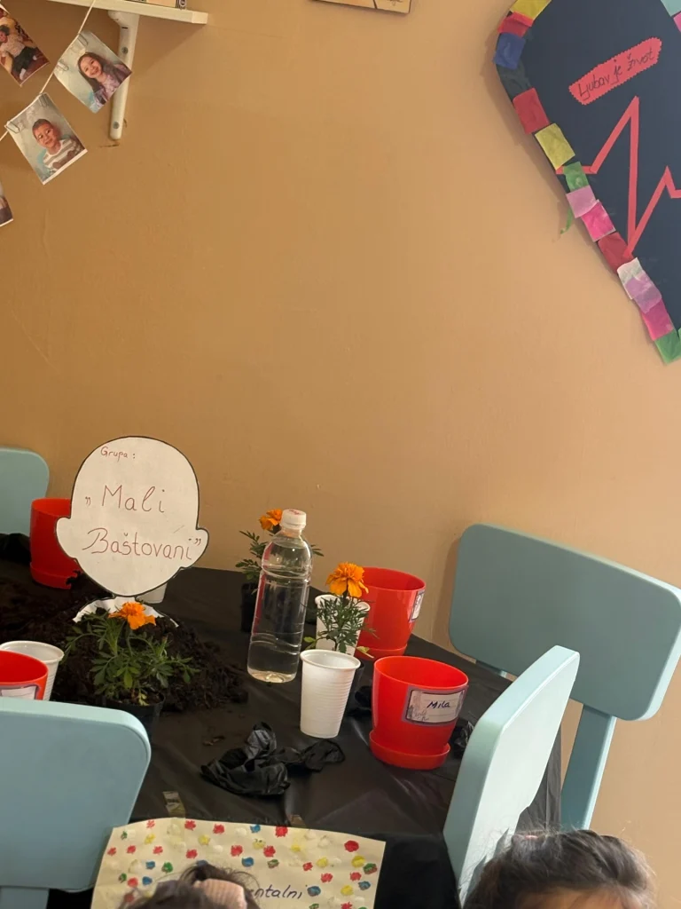 Instagram post from vrtickiki. This post is in position 14.