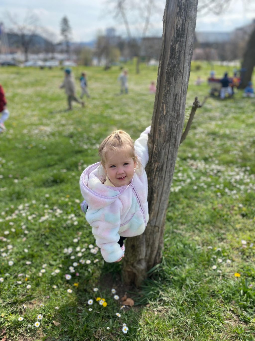 Instagram post from vrtickiki. This post is in position 12.