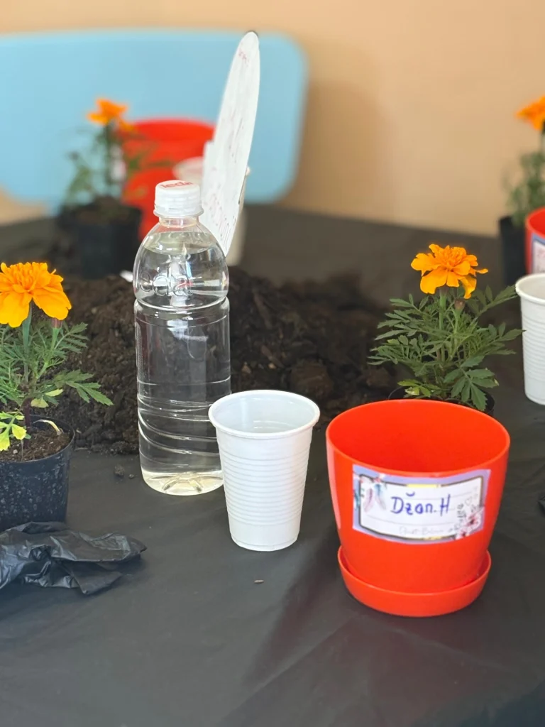 Instagram post from vrtickiki. This post is in position 15.