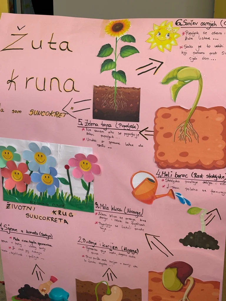 Instagram post from vrtickiki. This post is in position 2.