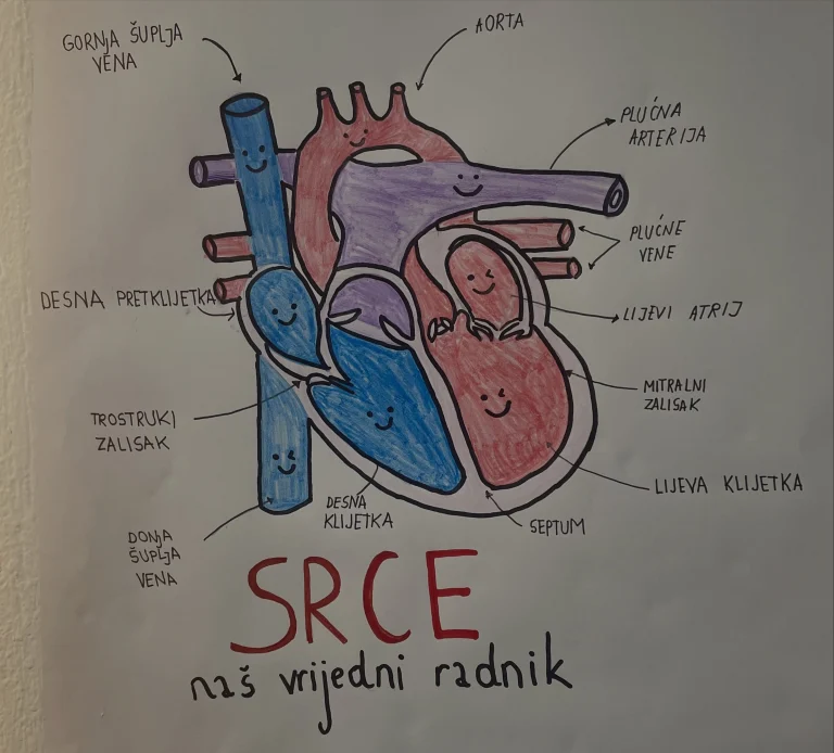 Instagram post from vrtickiki. This post is in position 12.
