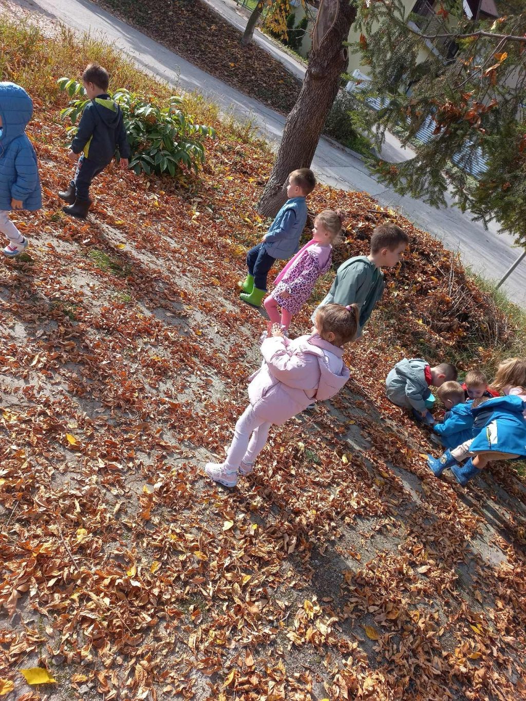 Instagram post from vrtickiki. This post is in position 14.