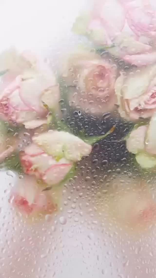 Instagram post from vrtickiki. This post is in position 6.