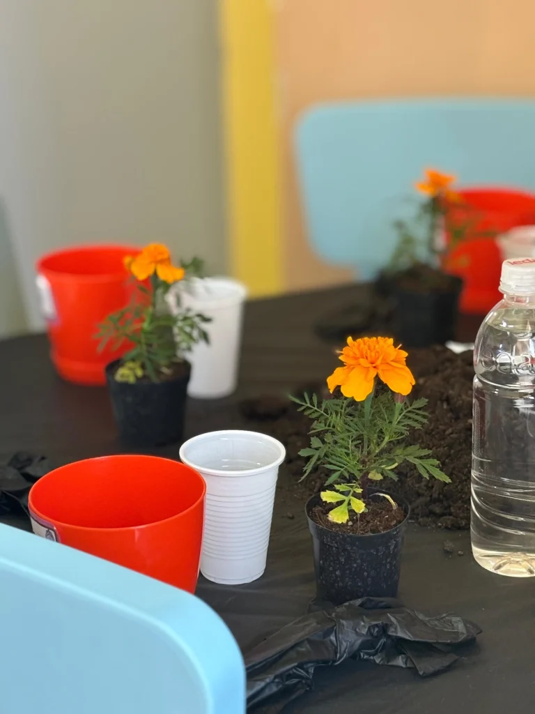 Instagram post from vrtickiki. This post is in position 16.