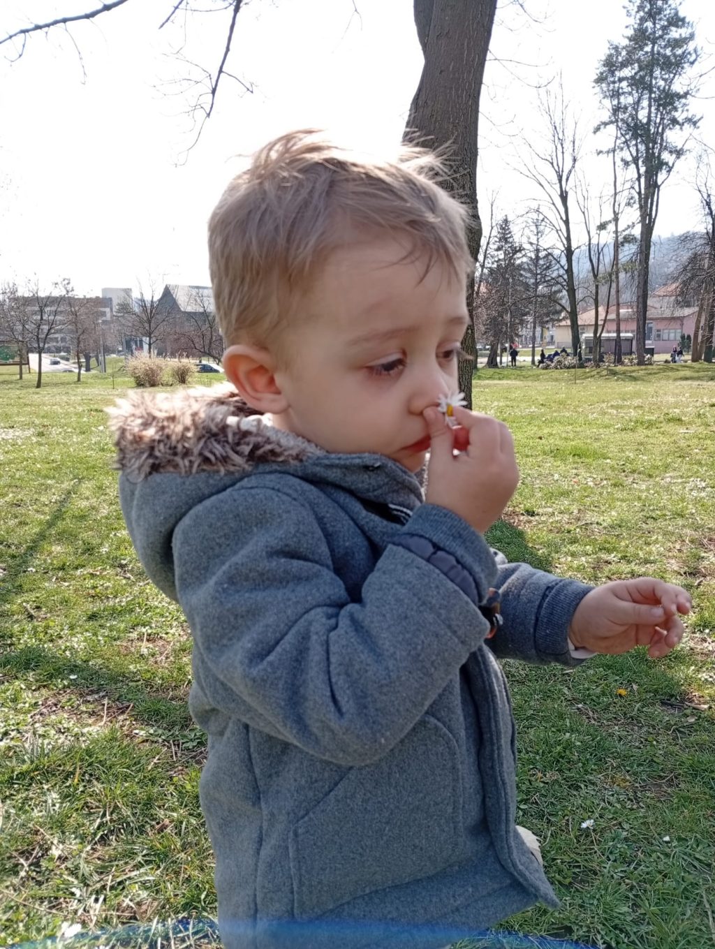 Instagram post from vrtickiki. This post is in position 17.