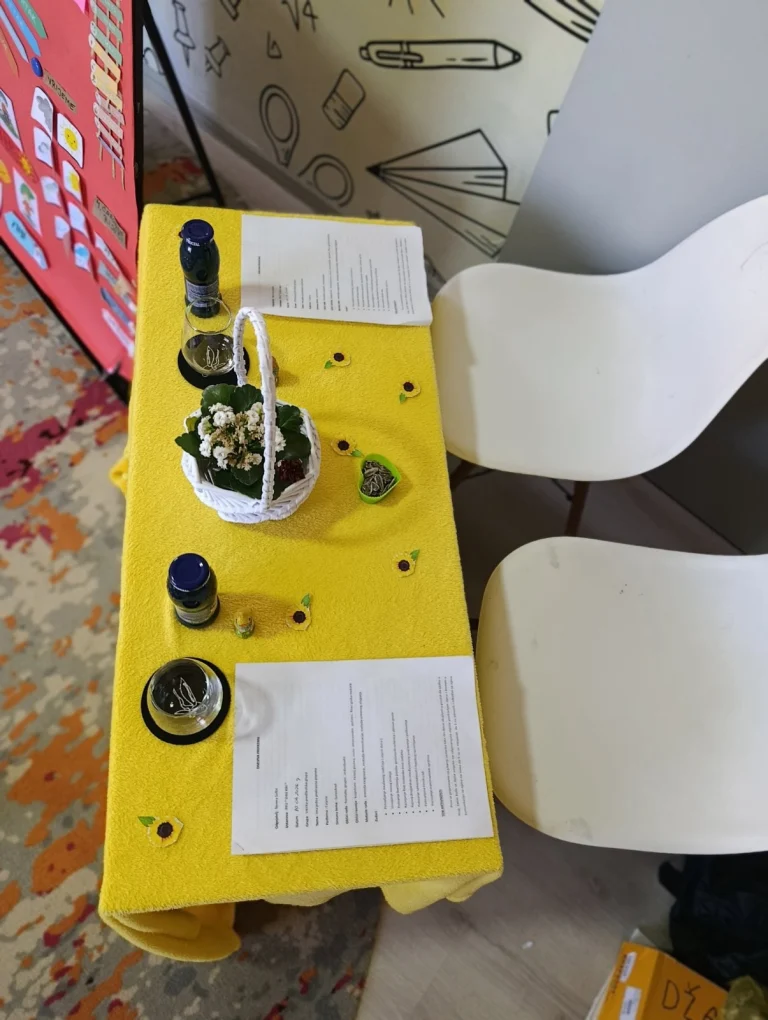 Instagram post from vrtickiki. This post is in position 12.